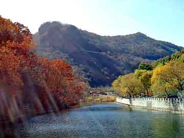 管家婆黑白马报图库，龙岩seo外包